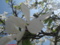20160320104044