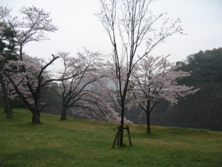 20160403105026