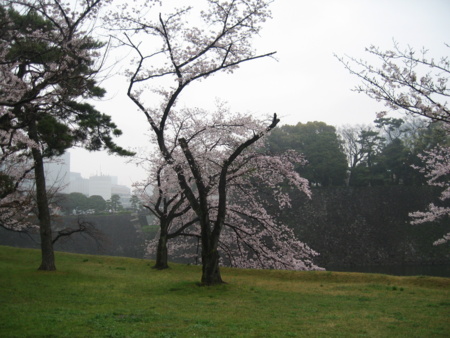20160403105045