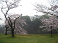 20160403105049