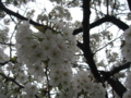 20160403105606