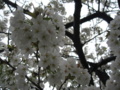 20160403105608
