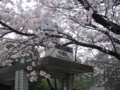 竹橋駅