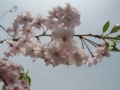 20160410111426