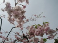 20160410111435