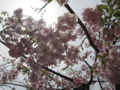 20160410111507