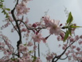 20160410111549