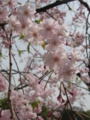 20160410111556