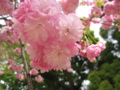 20160416110219