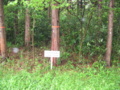 20160424102709