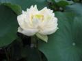 20160723081701