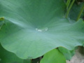 20160723082046