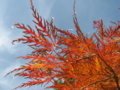 20161120111039