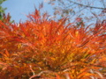 20161120111054