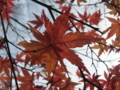 20161204094528