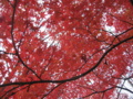 20161204095116
