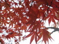 20161204095128