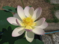 20170709094053