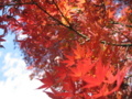 20171111101130