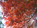 20171111131245