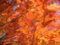 20171202101800