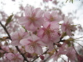 20180225113002