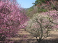 20180304094131