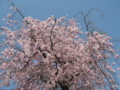20180401094116
