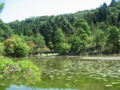 修学院離宮
