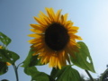20180805151449