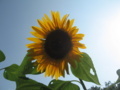 20180805151455