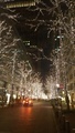 20181229181448