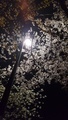 20190330192226