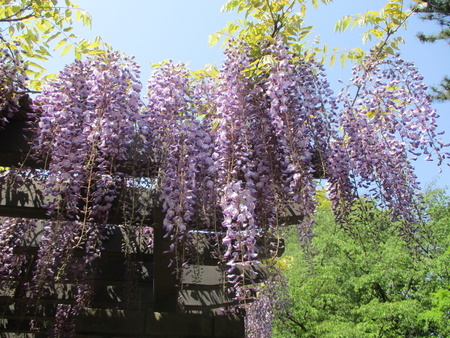f:id:gustav5:20200429134231j:image