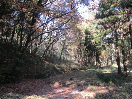 f:id:gustav5:20201122120713j:image