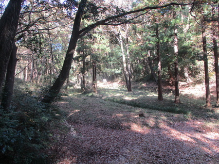 f:id:gustav5:20201122120727j:image