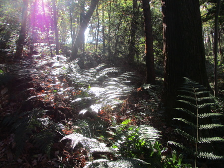 f:id:gustav5:20201122121103j:image