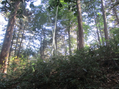 f:id:gustav5:20201122121144j:image