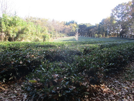 f:id:gustav5:20201122121823j:image