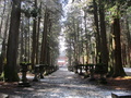 北口本宮浅間神社