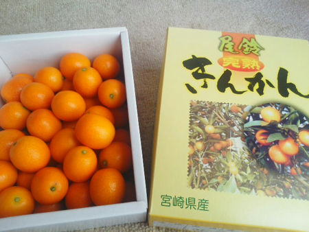 f:id:gutaraseikatsu:20170207123901j:plain f:id:gutaraseikatsu:20170207123901j:plain