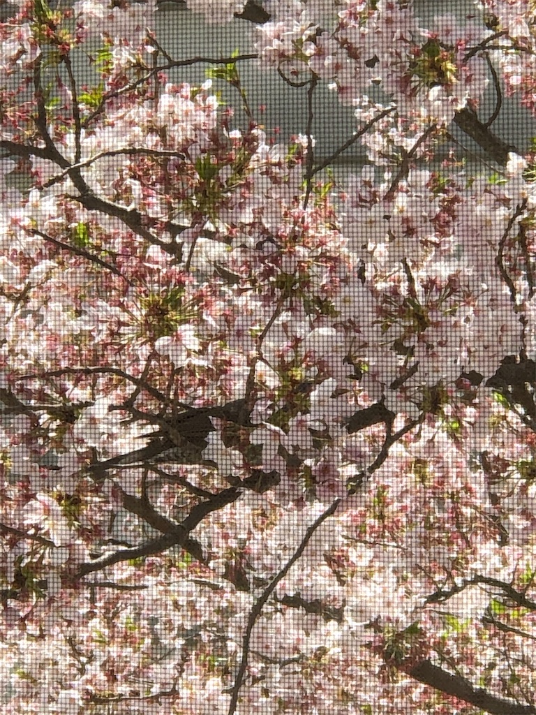 f:id:guteBesserung:20200405210933j:image