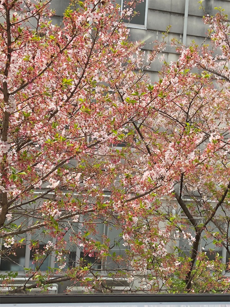 f:id:guteBesserung:20200410124512j:image f:id:guteBesserung:20200410124512j:image