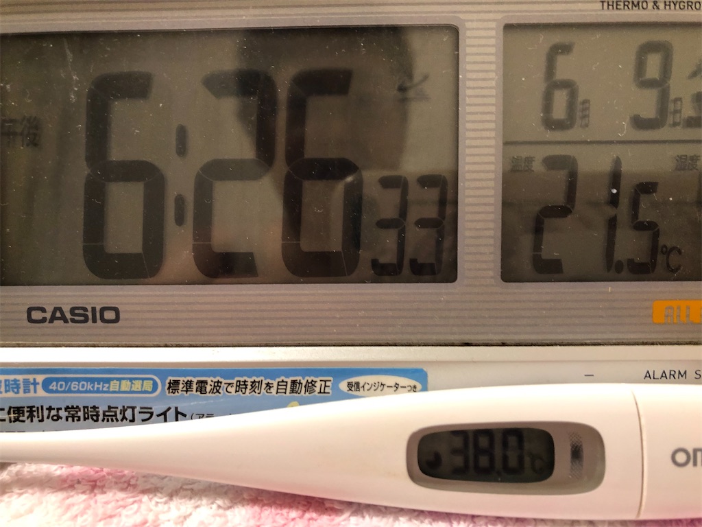 f:id:guteBesserung:20230609193613j:image