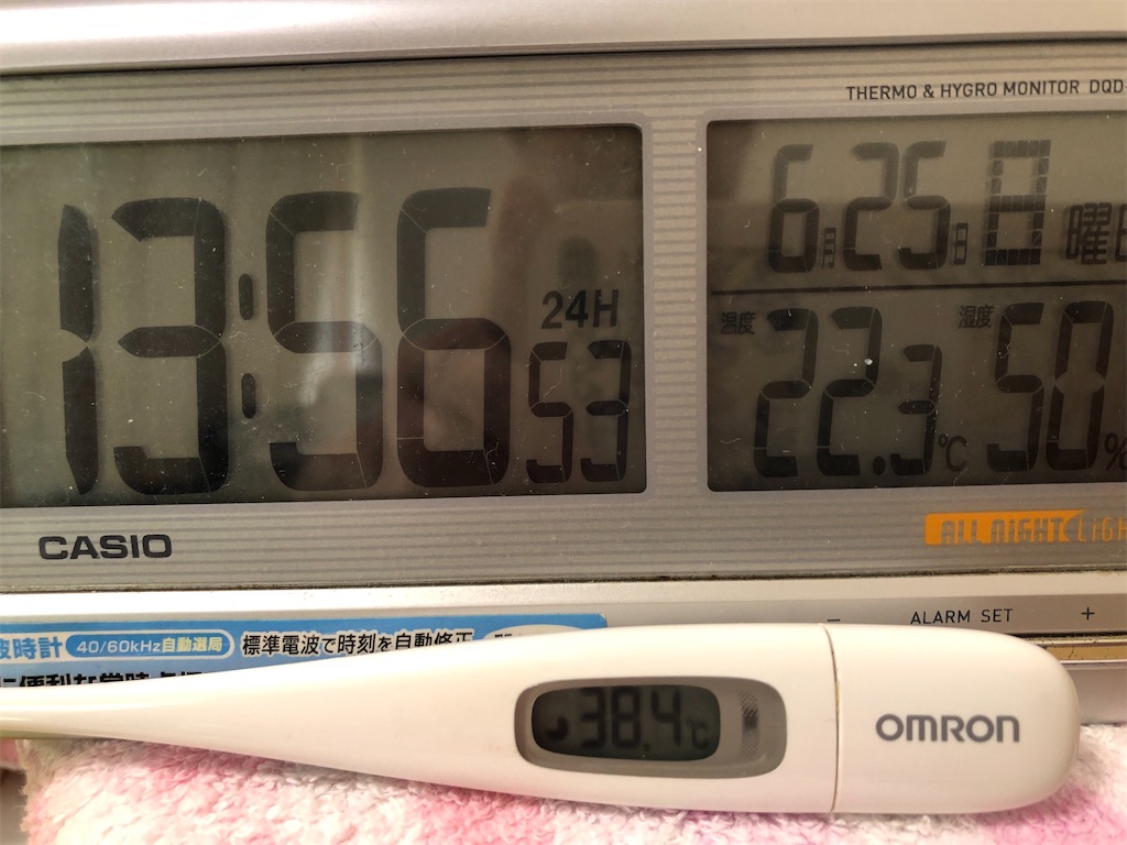 f:id:guteBesserung:20230630100123j:image f:id:guteBesserung:20230630100123j:image