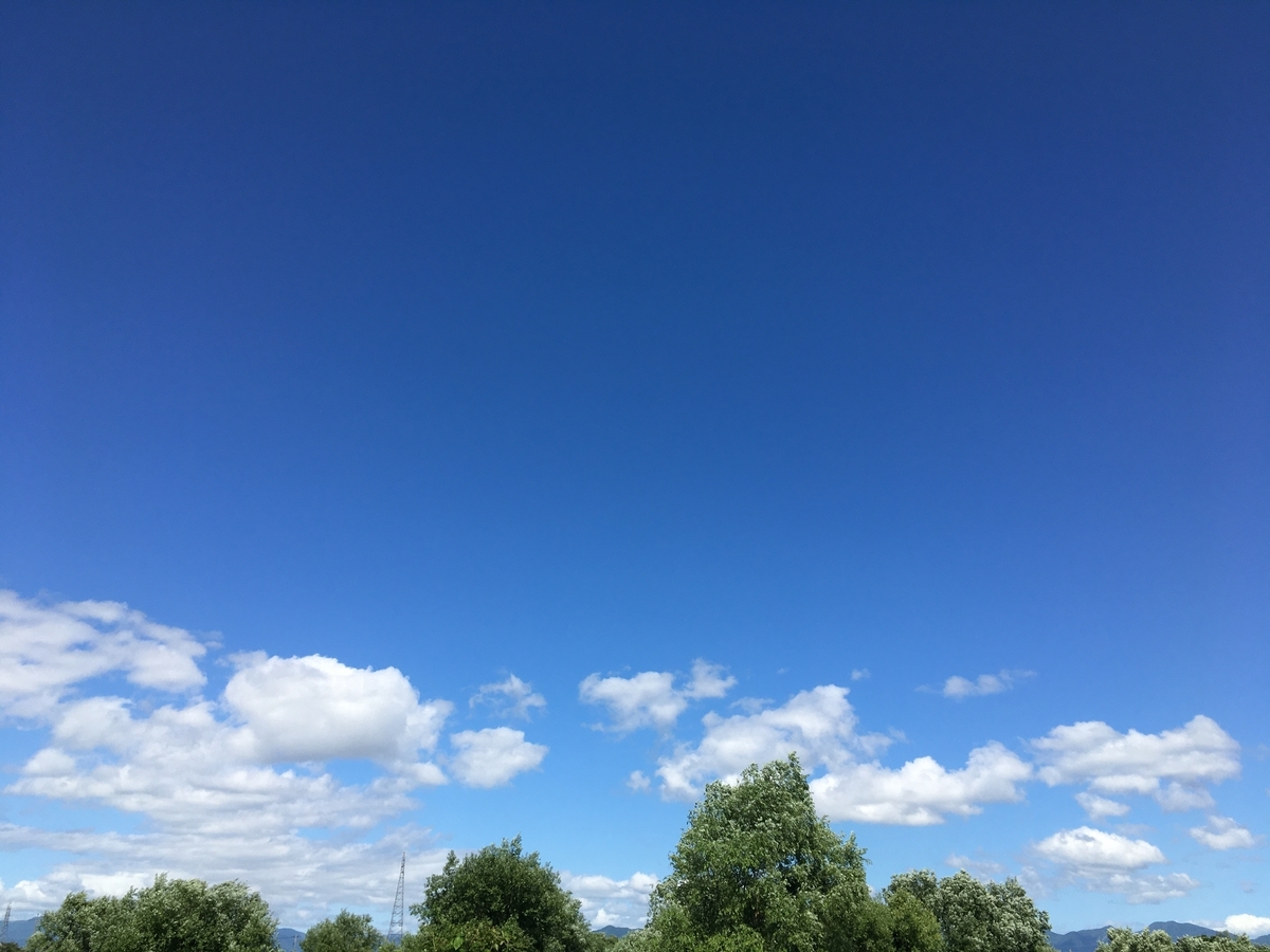 f:id:guti1002:20200620193740j:plain