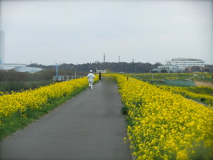 f:id:guti_hi:20100404115105j:image