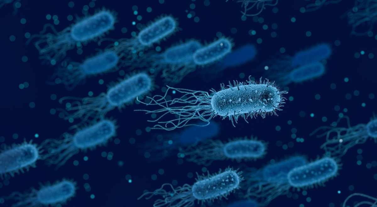 f:id:gutmicrobiome:20201113232011j:plain