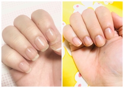 f:id:gutti_bty:20191018210728j:image