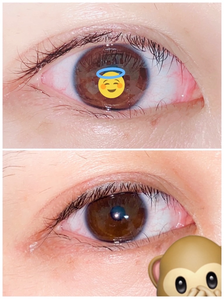 f:id:gutti_bty:20200412173629j:image